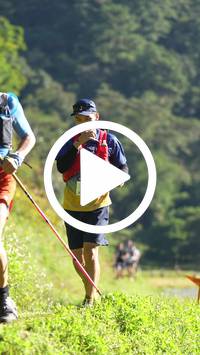 BIB:  <button type="button" onclick="openModal(26576228)" class="btn btn-primary btn-sm float-right" data-toggle="modal" data-target=".modal-high-quality">
                <i class="fa fa-download"></i> Download
                </button>